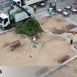 Denuncian otro "arboricidio" en Madrid: el Ayuntamiento tala todos los pinos de la plaza de Comendadoras
