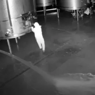 Un encapuchado asalta la bodega Cepa 21 y vacía 60.000 litros de vino valorados en 2,5 millones de euros