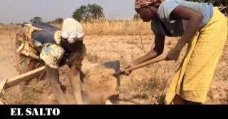 Tras seis años de procesos judiciales, se hace público el documental que denuncia las “chufas de sangre”