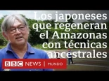 La comunidad japonesa que cultiva "bosques alimentarios" y ayuda a recuperar el Amazonas