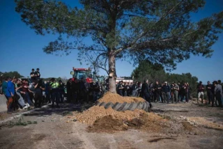 VÍDEO: Los agricultores que cortan la AP-7 en Girona plantan un pino en la calzada