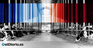 La industria de la carne lleva años pagando a científicos y universidades para bloquear políticas climáticas