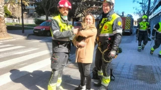 Los bomberos rescatan un gato en el piso 13 que se escondió del incendio