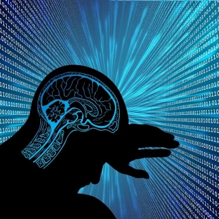 ¿Por qué están triunfando determinadas prácticas educativas, sin fundamento y perjudiciales para el alumnado, entre los docentes?