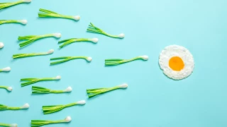 El poder demostrado de los frutos secos para mejorar la calidad del esperma