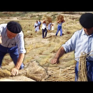 Los esparteros: transformación de esparto en cuerda o soguetas a partir de su mallado y trenzado