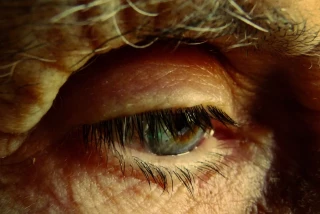 Un macro estudio con la ayuda de una IA confirma que la Viagra reduce el riesgo de Alzheimer en más del 50%