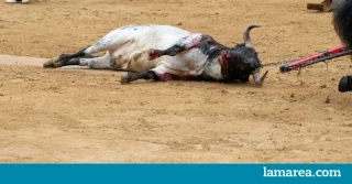 Hacia la abolición: 500.000 firmas para derogar la ley que blinda la tauromaquia