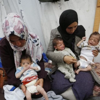 'Anatomía de un genocidio': el demoledor informe de la ONU sobre lo que Israel hace en Gaza