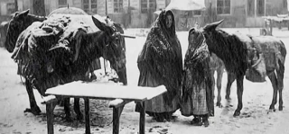 El suceso de un pueblo de Soria que llevó a cambiar la Ley forestal de España