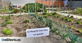 El Ayuntamiento quiere destruir el huerto cedido a los vecinos que protestaron por las talas de Madrid Río: "Es una venganza"