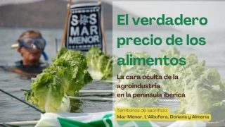 “Sin sobreexplotación de los recursos y vulneración de los derechos humanos, el modelo agroindustrial y exportador no funciona”