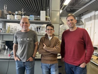 Descubren cómo realizar, dentro de las células tumorales, una reacción química capaz de destruir moléculas clave para su proliferación