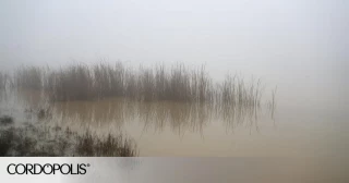 Defensa cesa al capitán que estuvo al frente del ejercicio en el que murieron dos militares en Cerro Muriano