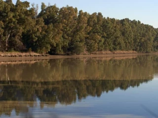 Escándalo en el Guadalquivir: la Junta pretende aprobar el vertido de 80.000 millones de litros de aguas tóxicas procedentes de la mina de Aznalcóllar en el río