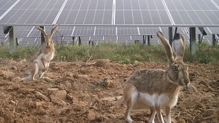El 29% de españoles es negacionista climático y más del 50% duda del coche eléctrico, no cerraría las centrales nucleares y abriría más