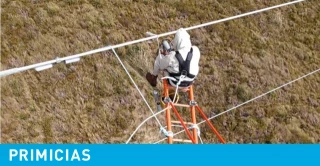 Colombia desconecta de manera total y unilateral la línea eléctrica con Ecuador y crece riesgo de apagones