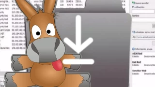 Cómo descargar archivos con eMule en 2024