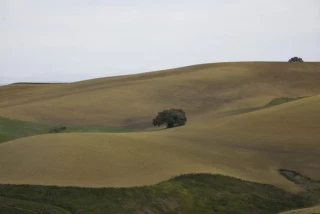 España ha agotado este lunes todos sus recursos naturales para este año y entra en déficit ecológico