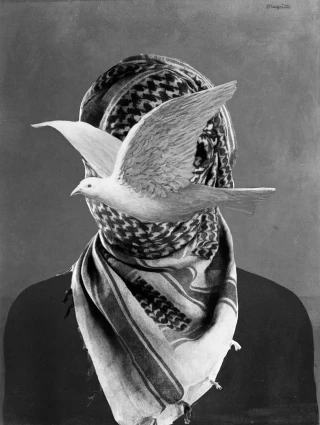 Palestina: La tragedia permanente (1947-2024)