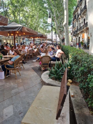 Críticas a los locales del Born por ocupar los bancos públicos con clientes