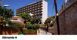 La España que se rasca: los incesantes brotes de sarna alertan de que algo más grave está pasando