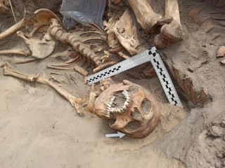 Doscientos dieciocho ‘enfermos mentales’ con un tiro en la cabeza