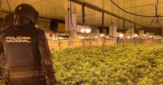 Los policías que piden legalizar el cannabis y derogar la ‘ley mordaza’: “Nos tachan de extrema izquierda y sufrimos acoso”