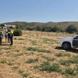 Rescatan a veintitrés burros y dos caballos abandonados en un terreno de Santa Margarita, en La Línea