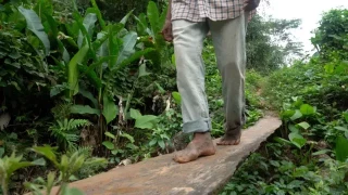 Los tsimane, la remota comunidad en Bolivia donde las personas envejecen más lento que el resto del mundo