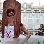 Vecinos y Marisa Paredes, contra la tala de Santa Ana: "Almeida está asolando las plazas, no hay sombra para refugiarse"