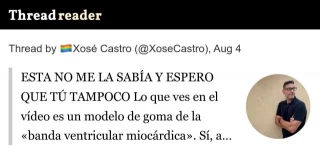 Así es un corazón humano desplegado