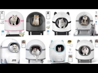 Las cajas de arena para gatos autolimpiables mortales que han inundado el mercado [ENG]