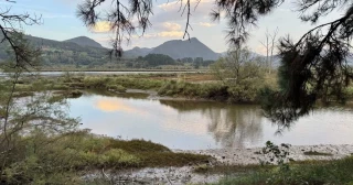 Greenpeace demanda al Gobierno por modificar la Ley de Costas para la construcción de un nuevo Guggenheim en plena Reserva de la Biosfera de Urdaibai
