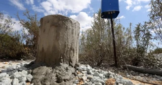 Detectan más de mil hectáreas de cultivos ilegales que se riegan con agua de Doñana