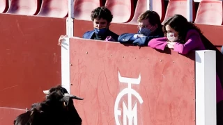 Ayuso elimina las subvenciones a los museos nacionales y entrega 1,7 millones a la Fundación Toro de Lidia