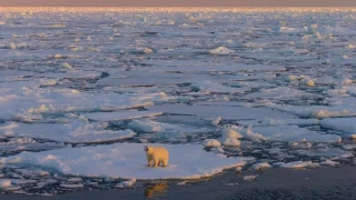 El Polo Norte se derrite más rápido de lo esperado: los científicos alertan de que puede quedarse sin hielo en solo dos veranos