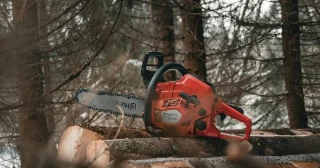 Un leñador español que taló 100 robles centenarios y 300 abetos en Francia deberá pagar una indemnización de 300.000 euros