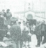 Oricios a paladas en el Campo Valdés