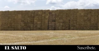 Los fondos de inversión se convierten en los nuevos dueños del campo