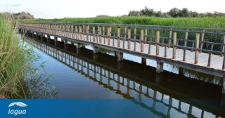 Última llamada: Las Tablas de Daimiel al borde del colapso
