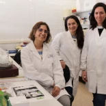 Las bolsitas de té comerciales liberan millones de microplásticos durante su uso