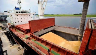 Se derrumba el precio de la soja y el campo pide por la devaluación argentina