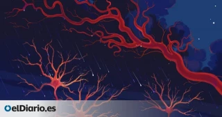 Estudio señala que algunos somníferos  interrumpen la limpieza del cerebro y podrían aumentar el riesgo de alzhéimer