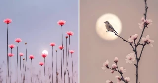 La Luna entre flores, fotografía minimalista de Sara