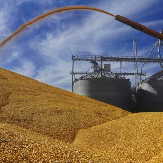 EE.UU. castiga a México con algo más que aranceles