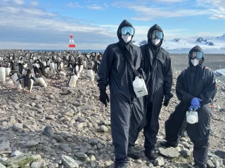 La peor crisis de gripe aviar jamás registrada se extiende por la Antártida