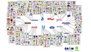 Una aproximación a las claves del poder sionista mundial (I)