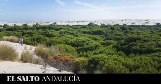 Un fondo de inversión amenaza Doñana con la construcción de un proyecto gasístico