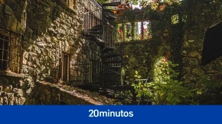 Fotos maravillosas de cómo la naturaleza recupera su lugar frente a los humanos